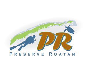 Logo Design by screed1234 for Steve Cantin Productions LLC | Design #6597644