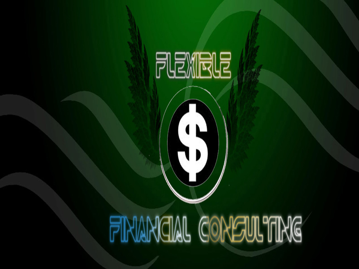 Logo Design by annur91 for Flexible Financial Consulting | Design #6594234