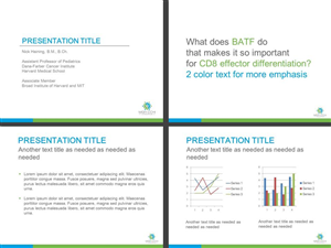 PowerPoint Design by sgarchdesign