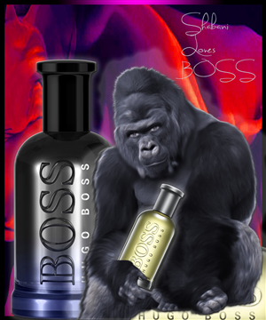 Photoshop Design Contest Submission #6620021