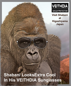 Photoshop Design Contest Submission #6620064