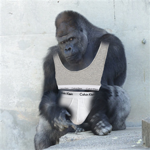 Photoshop Design Contest Submission #6588301