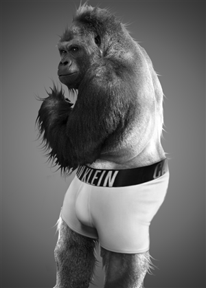 Photoshop Design by iMAGICations for DesignCrowd LLC | Design: #6622705