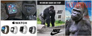 Photoshop Design Contest Submission #6614220