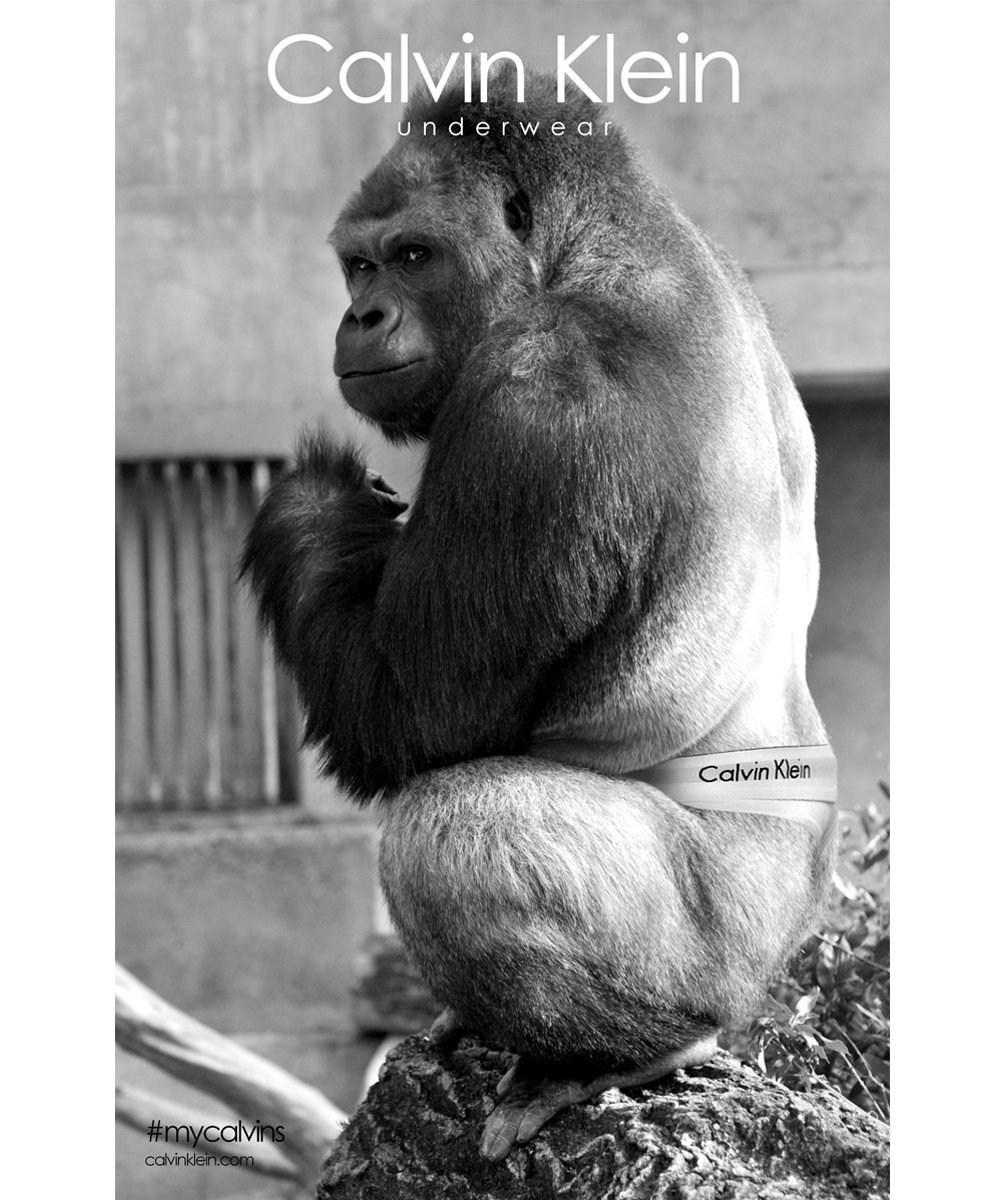 Contest winning design