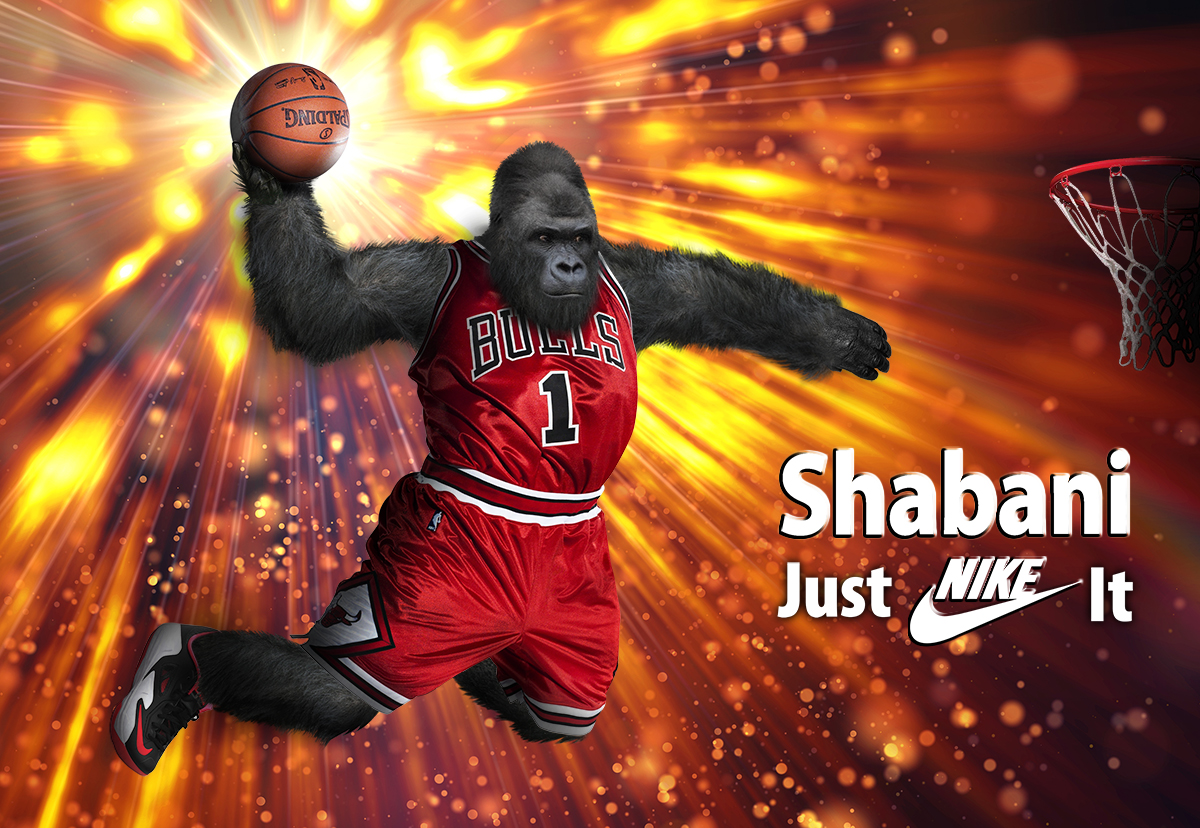 Design Photoshop par Riaz786 pour DesignCrowd LLC | Design #6613855