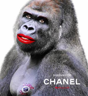 Photoshop Design by magny