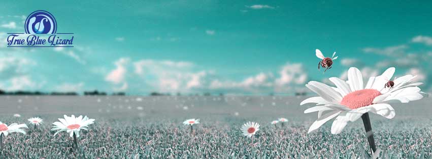 Logo Design by Euney's Design for OpenIP Ltd | Design #6586403