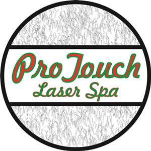 Logo Design by birkopasa90
