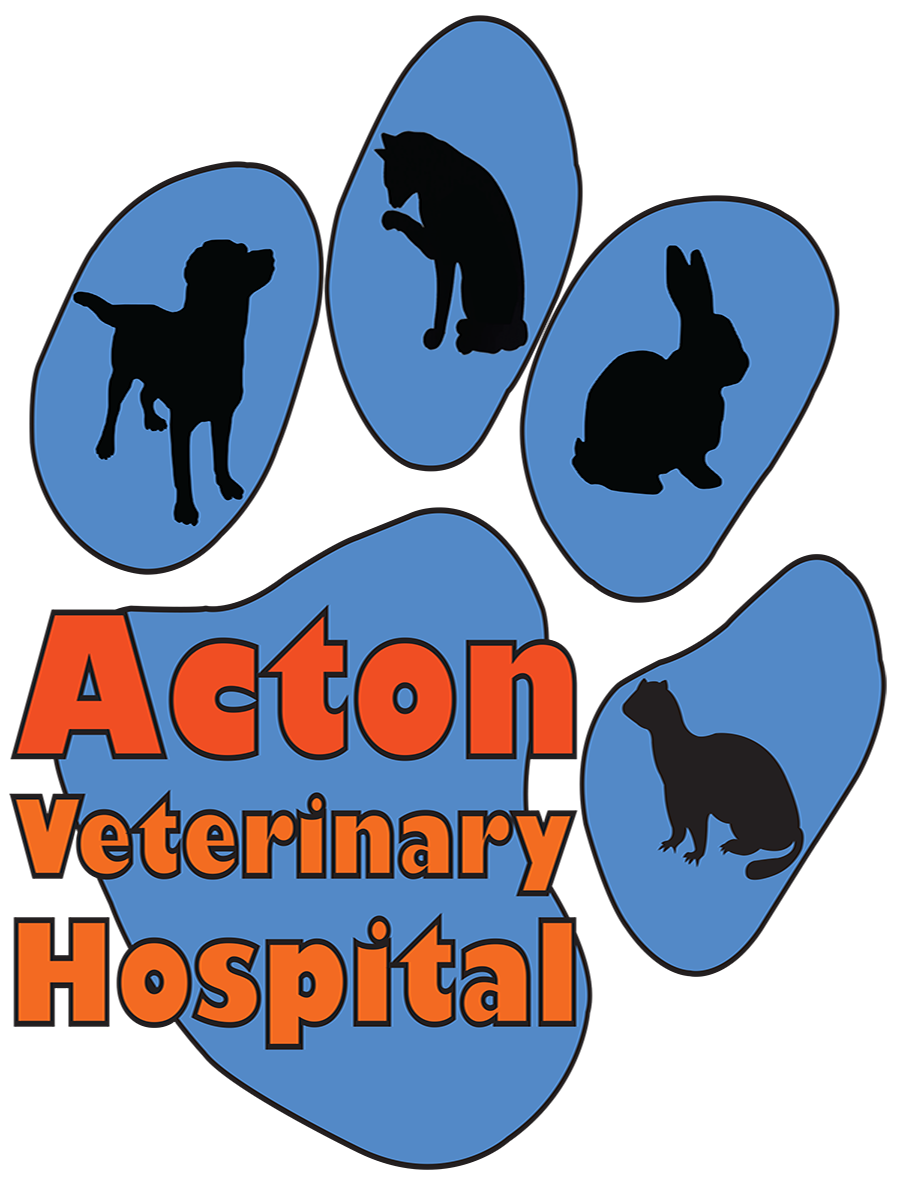 Logo Design by Fiachra Design for this project | Design #1757087