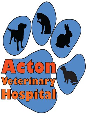 Logo Design by Fiachra Design