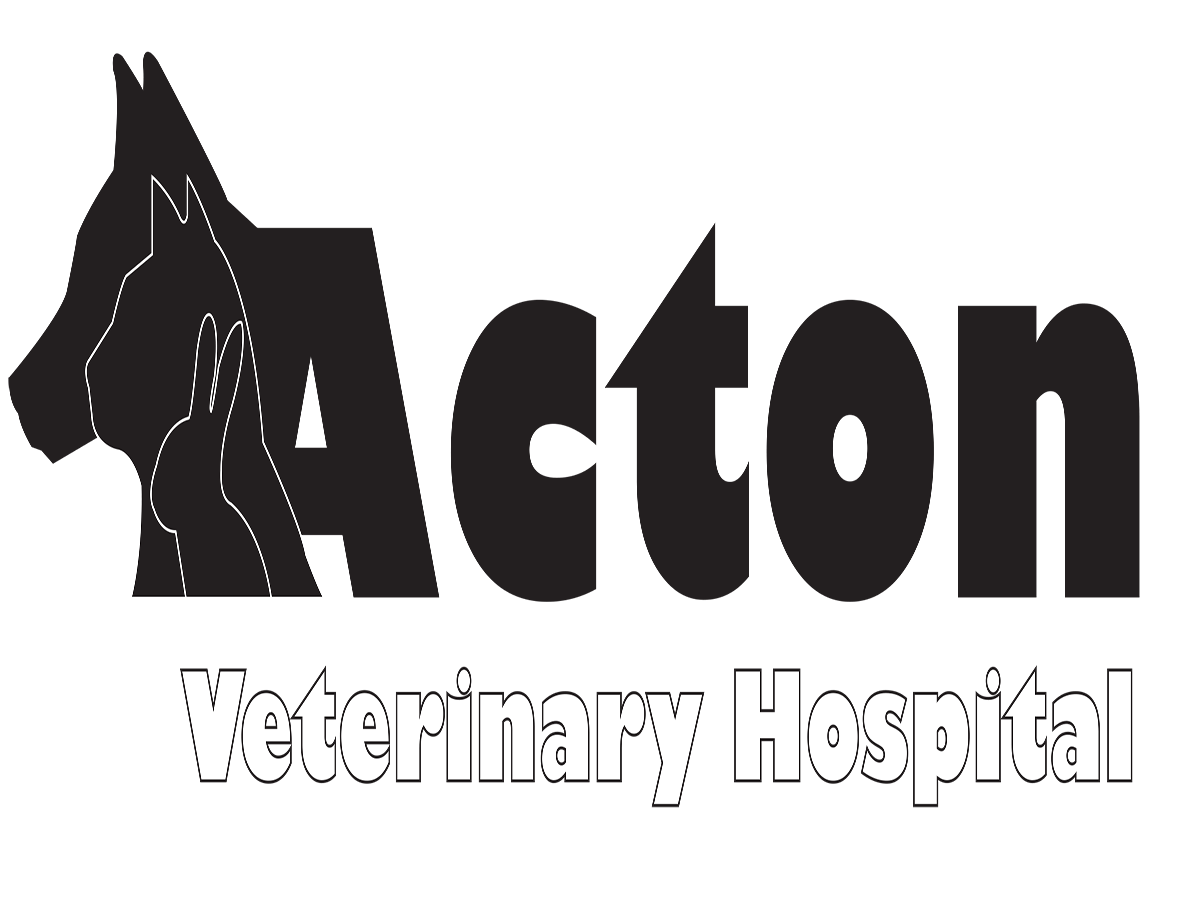 Logo Design by Fiachra Design for this project | Design #1757451