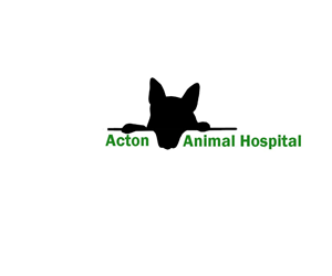 Logo-Design von bear6mm696 für dieses Projekt | Design #1740932