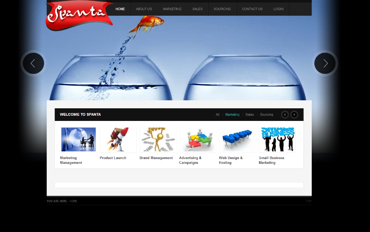 Logo Design by Giovanni for SPANTA PTY LTD | Design #1719867