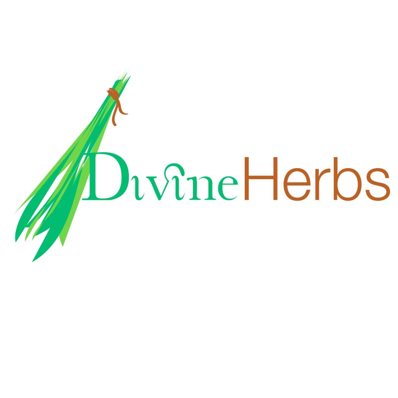 Logo Design by LoethenDesign for this project | Design #1733875