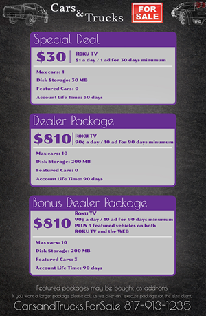Brochure Design by Savu Bogdan