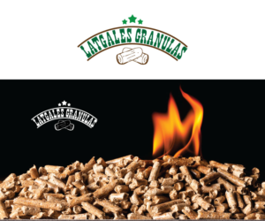 Design de Logo par Crest Logo Designs pour FlyCap | Design : #6675813