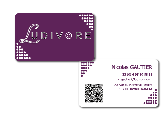 Diseño de Tarjeta de Presentación por PAULA BLANCO para Ludivore | Diseño #1745125