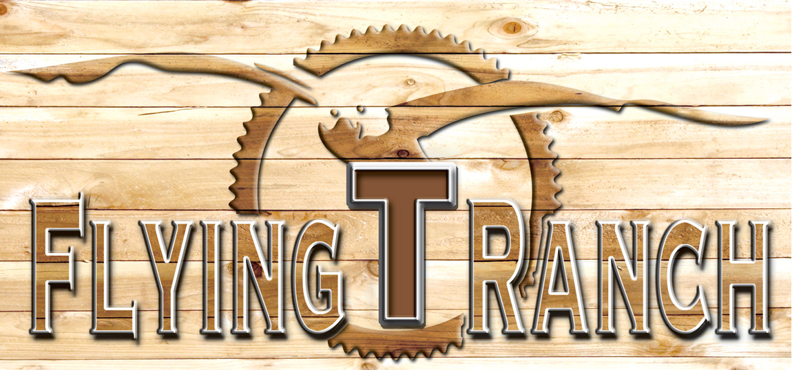 Design de Logo par fourdog123 pour Flying T Ranch | Design #6650924