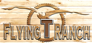 Logo Design by fourdog123
