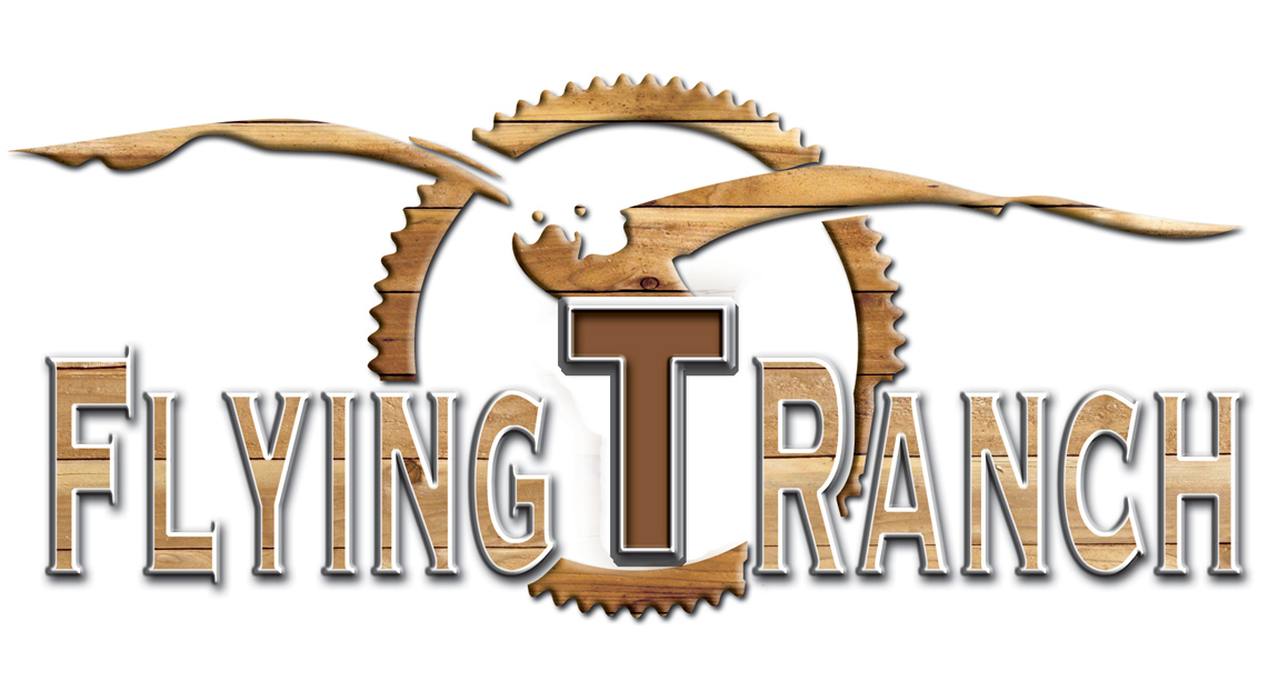 Logo Design by fourdog123 for Flying T Ranch | Design #6650927