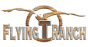 Diseño de Logo por fourdog123 para Flying T Ranch | Diseño: #6650927