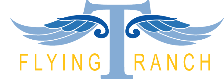 Logo Design by Agus Setiawan for Flying T Ranch | Design #6615437