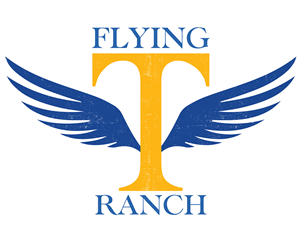 Logo Design by NicFarleyDesign