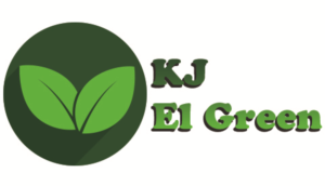 Logo Design by Iban641