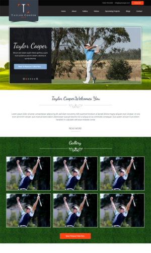 Web Design by Expert Designer