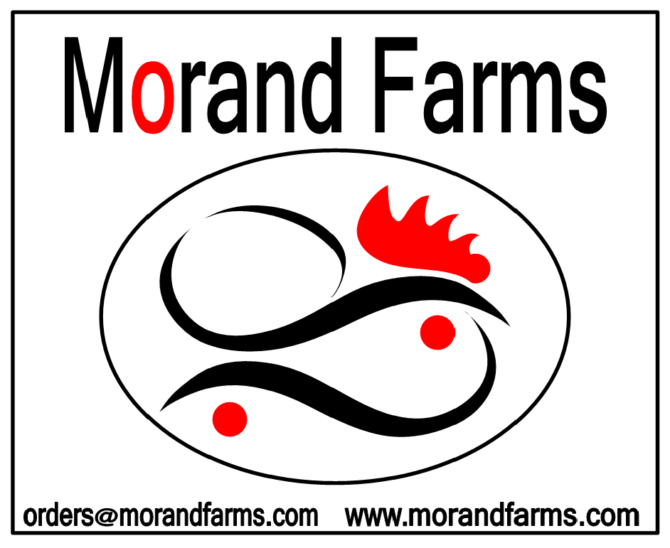 Logo Design by Ellison for morand farms ltd. | Design #6660674
