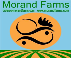 Logo Design by Ellison for morand farms ltd. | Design: #6660901