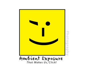 Logo Design by Murtaza for Ambient Exposure Photography | Design: #1756215