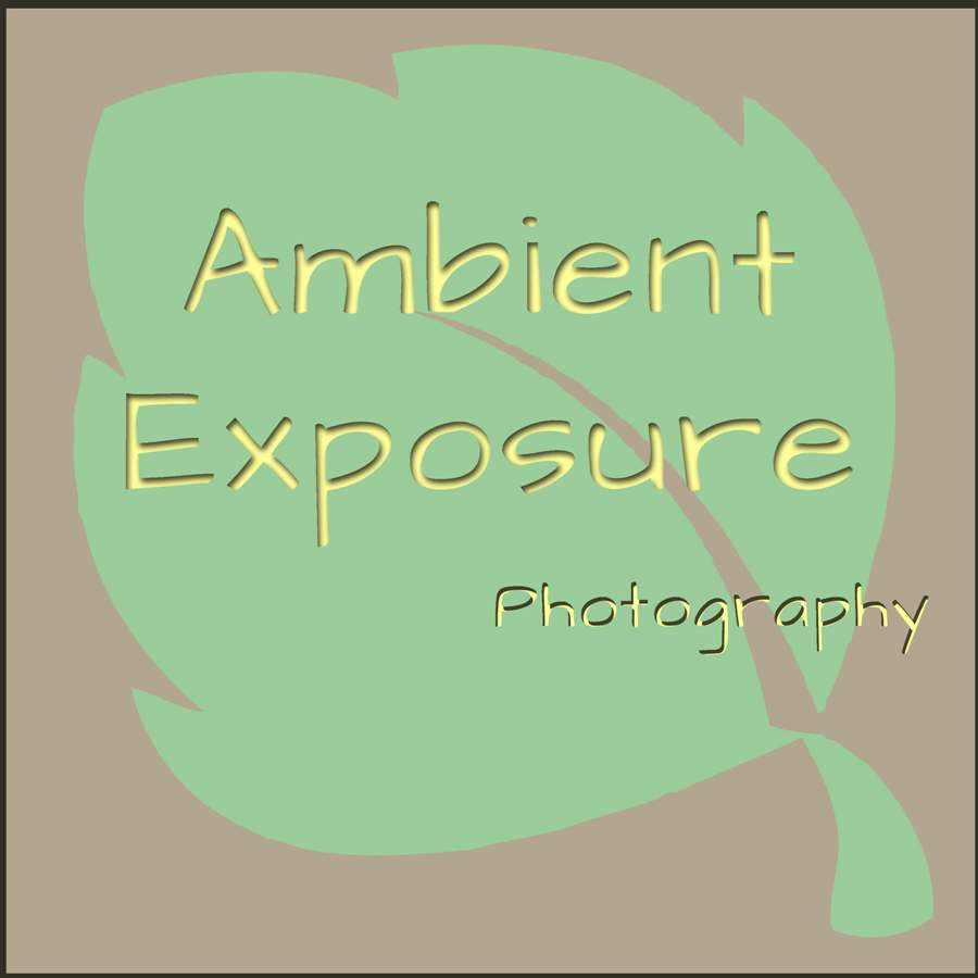 Logo Design by Deniece for Ambient Exposure Photography | Design #1755992