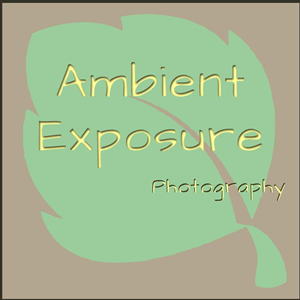 Logo Design by Deniece