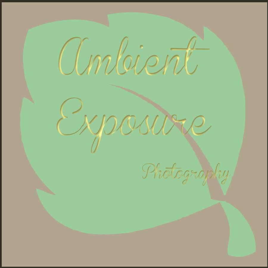 Design de Logo par Deniece pour Ambient Exposure Photography | Design #1755995