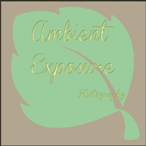Design de Logo par Deniece pour Ambient Exposure Photography | Design : #1755995
