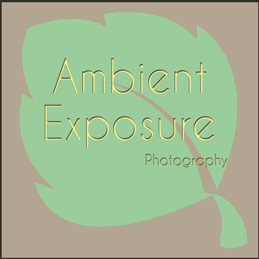 Logo Design by Deniece for Ambient Exposure Photography | Design #1755996