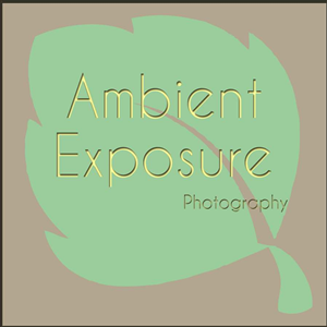 Design de Logo par Deniece pour Ambient Exposure Photography | Design : #1755996