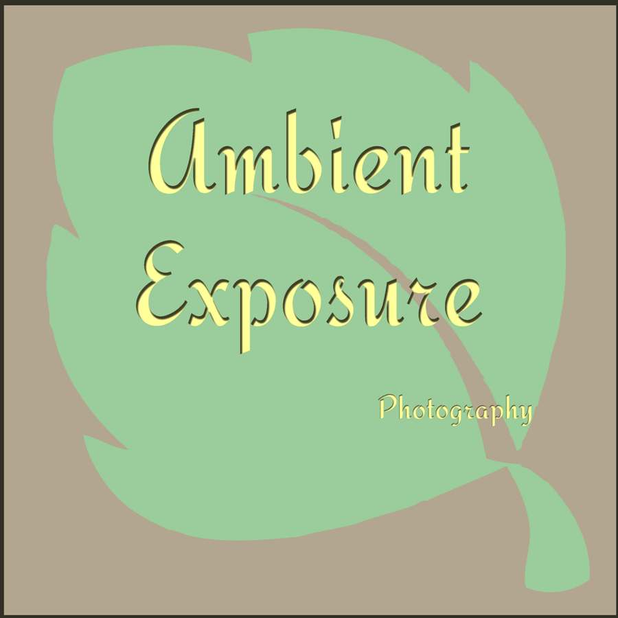 Logo Design by Deniece for Ambient Exposure Photography | Design #1755999