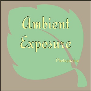 Design de Logo par Deniece pour Ambient Exposure Photography | Design : #1755999