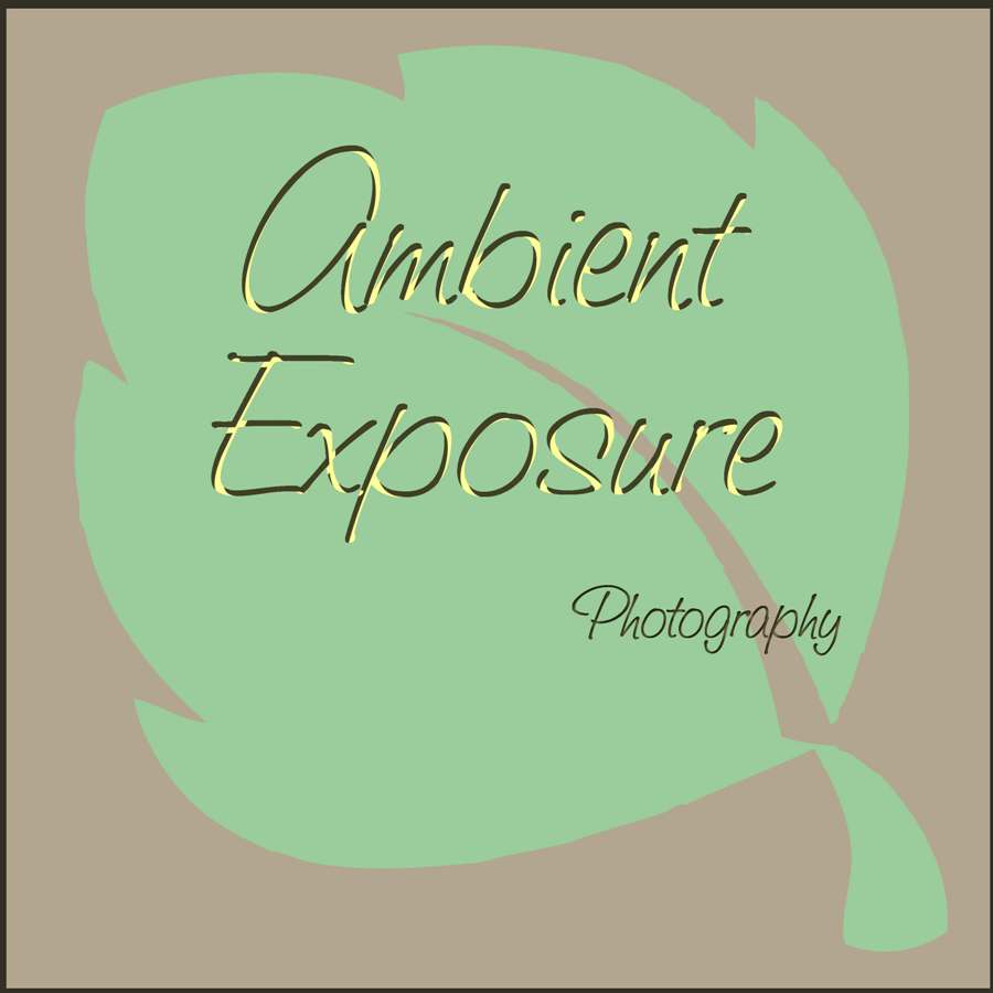 Logo Design by Deniece for Ambient Exposure Photography | Design #1756003