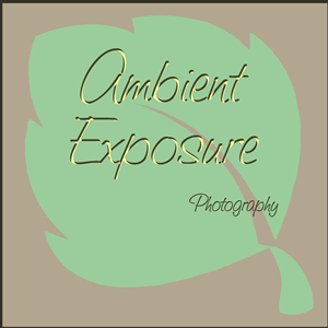 Design de Logo par Deniece pour Ambient Exposure Photography | Design : #1756003