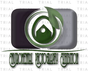Design de Logo par bochelo pour Ambient Exposure Photography | Design : #1740346