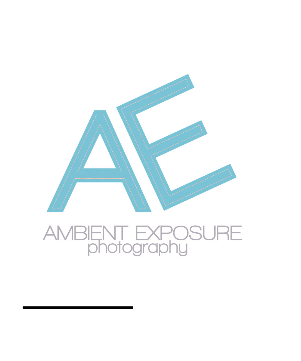Logo Design by MyInspo for Ambient Exposure Photography | Design #1722701