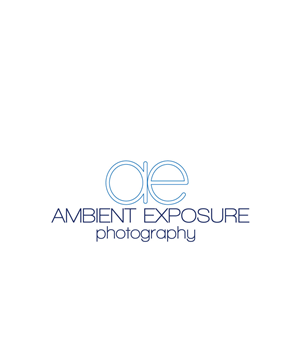 Logo Design by MyInspo for Ambient Exposure Photography | Design: #1722749