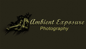Logo Design by desinger