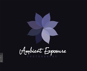Logo Design by designedbykyle for Ambient Exposure Photography | Design: #1758016