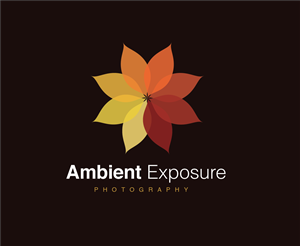Logo Design by designedbykyle for Ambient Exposure Photography | Design: #1758019