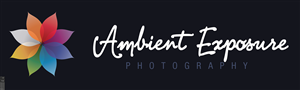 Logo Design by designedbykyle for Ambient Exposure Photography | Design: #1758027